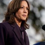 The debate over why Harris lost is in full swing. Here’s a guide.