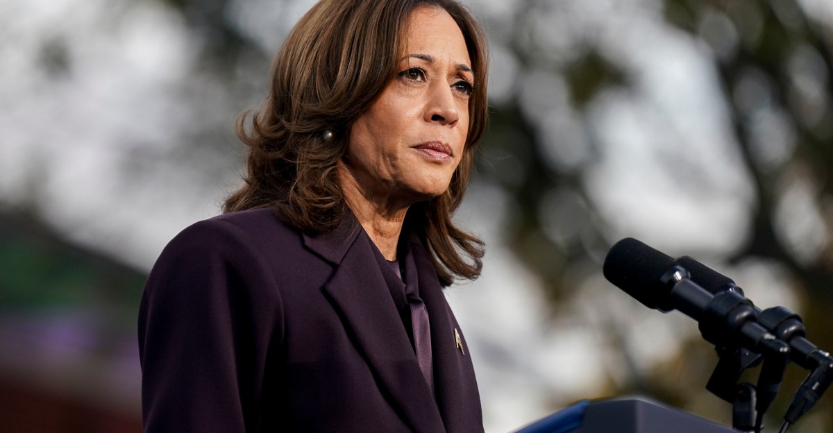 The debate over why Harris lost is in full swing. Here’s a guide.